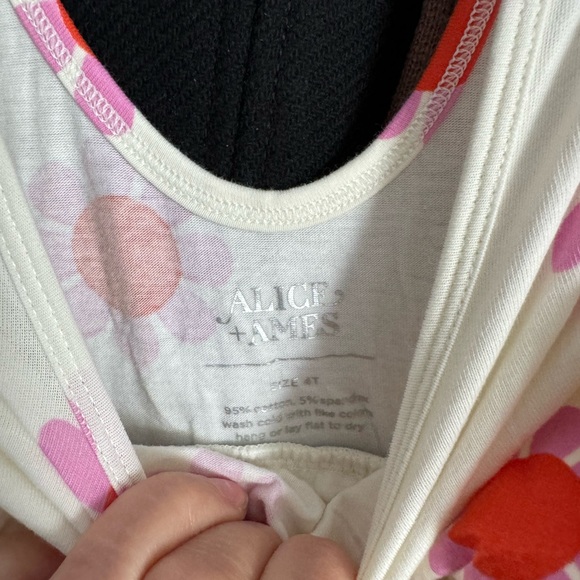 Alice + Ames The Ballet Dress 4t - Picture 3 of 3